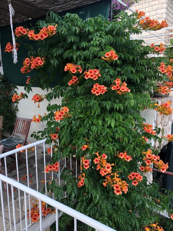 شقة Cozy New Flat For 2 Or 3 هفار المظهر الخارجي الصورة